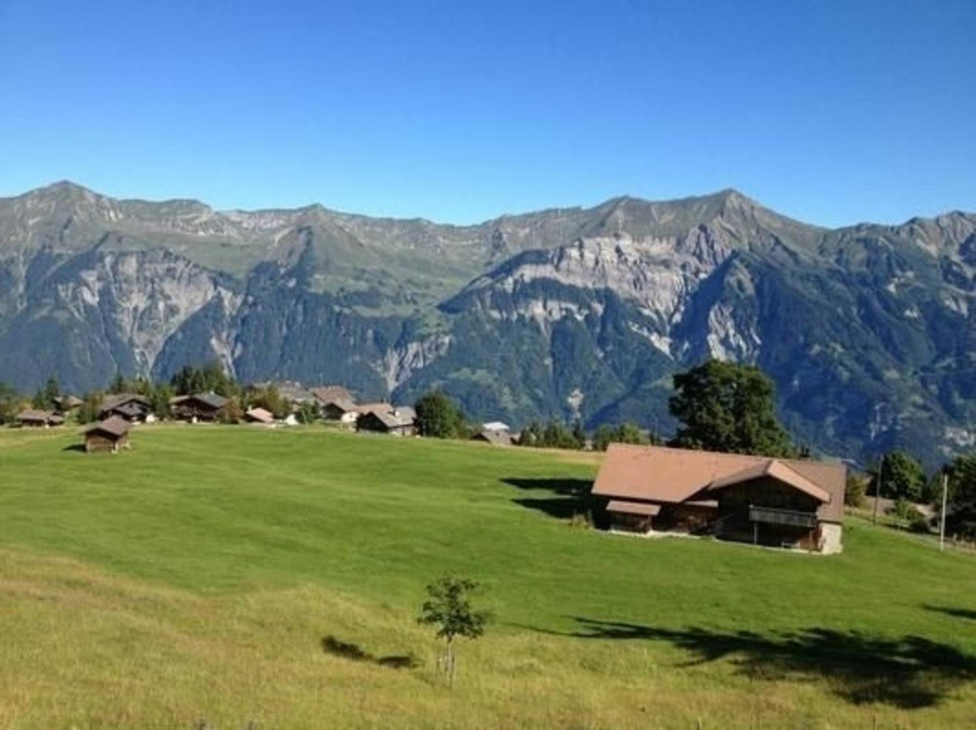 Gemuetliche Ferienwohnung Auf Der Axalp Ngoại thất bức ảnh
